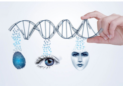 塞伯羅斯智能門(mén)禁系統生物識別